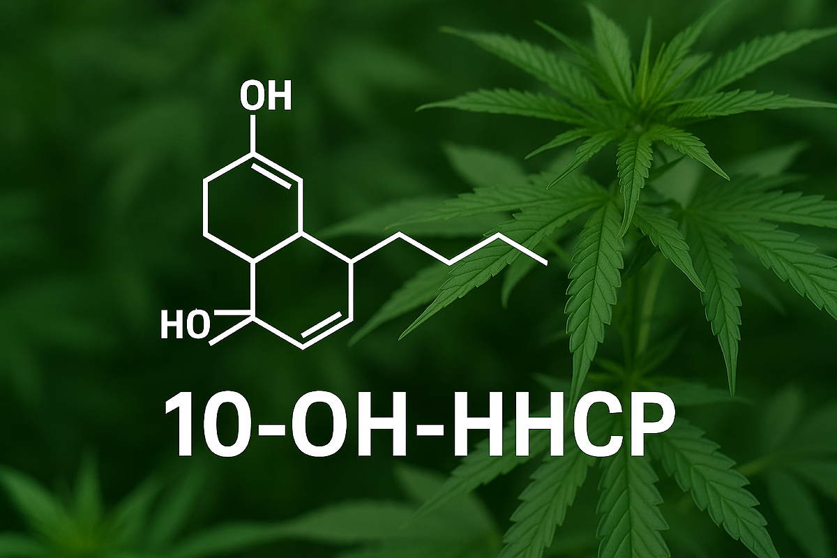 10-OH-HHCP: Der legale Cannabis-Ersatz