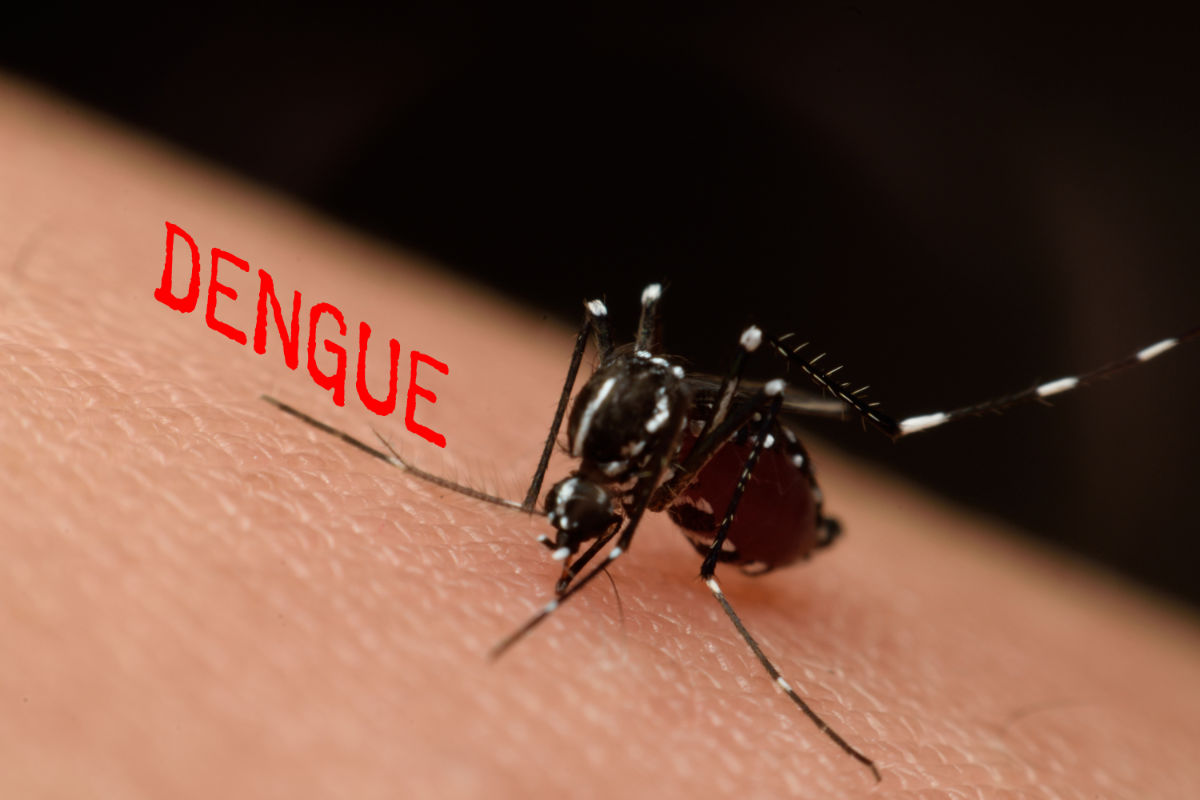 Dengue Fieber